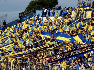 Torcida Áureo-Cerúlea