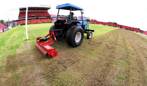 O gramado do Bento Freitas passou por tratamento especial (Foto: Carlos Insaurriaga)